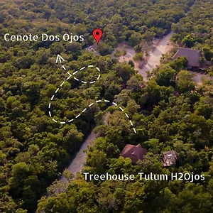h2ojos-eco-cabins-surrounded-by-nature-and-cenotes-in.quintano-roohotels.com/